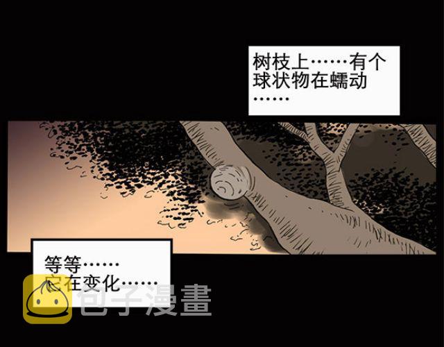 怪奇实录旧版漫画,第10话 配偶树（上）2图