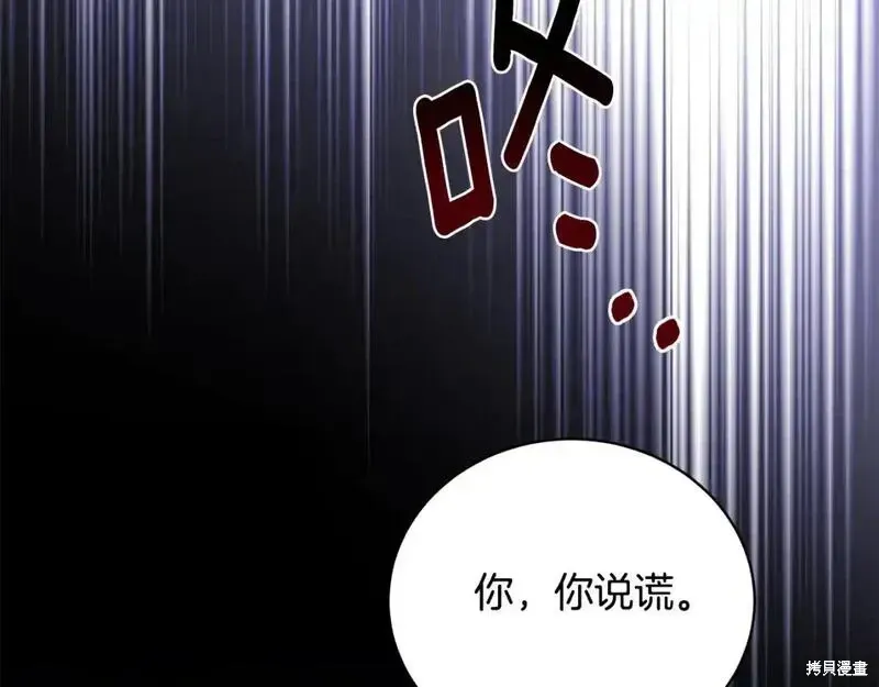 安吉拉沙塔吉漫画,第161话2图