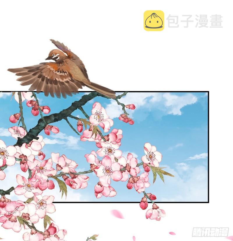 家有娇夫漫画免费阅读全文漫画,番外：诺诺的后宫1图