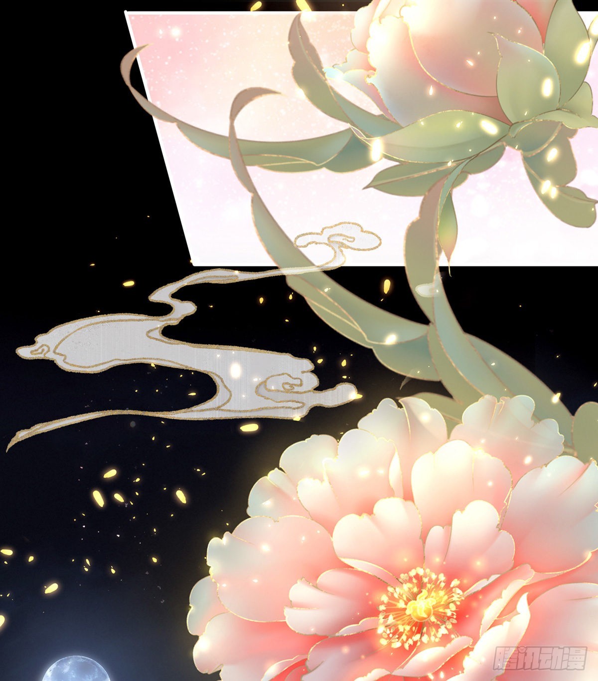 家有娇夫漫画免费阅读全文漫画,有喜1图