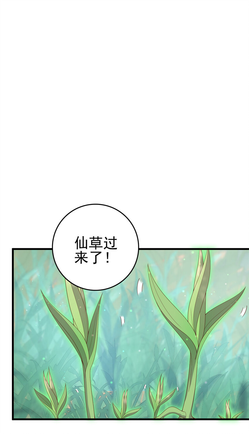 这个女配惹不起讲了什么漫画,051 赤焰红槿2图