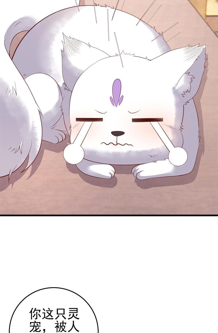 这个女配惹不起在哪里看漫画,088 你是不是人傻钱多2图