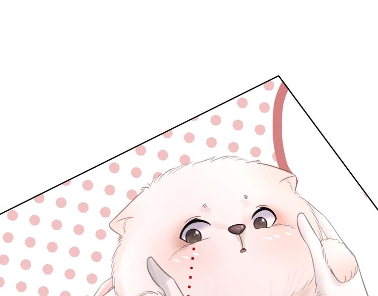 笙笙予你小说免费阅读顾南西漫画,第4话 一直都是你的1图