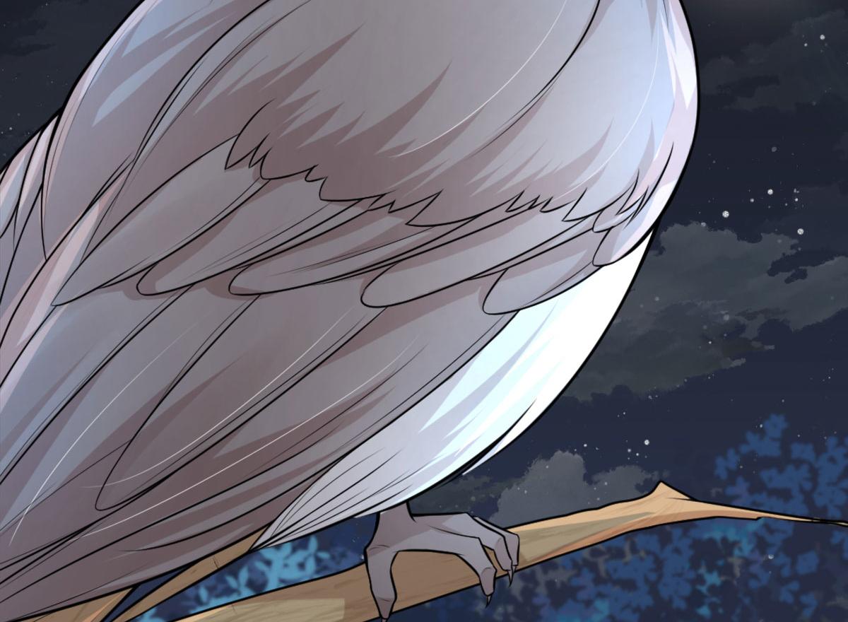 逆徒每天都想欺师犯上漫画,第7话 我从未遇到过这样的人2图