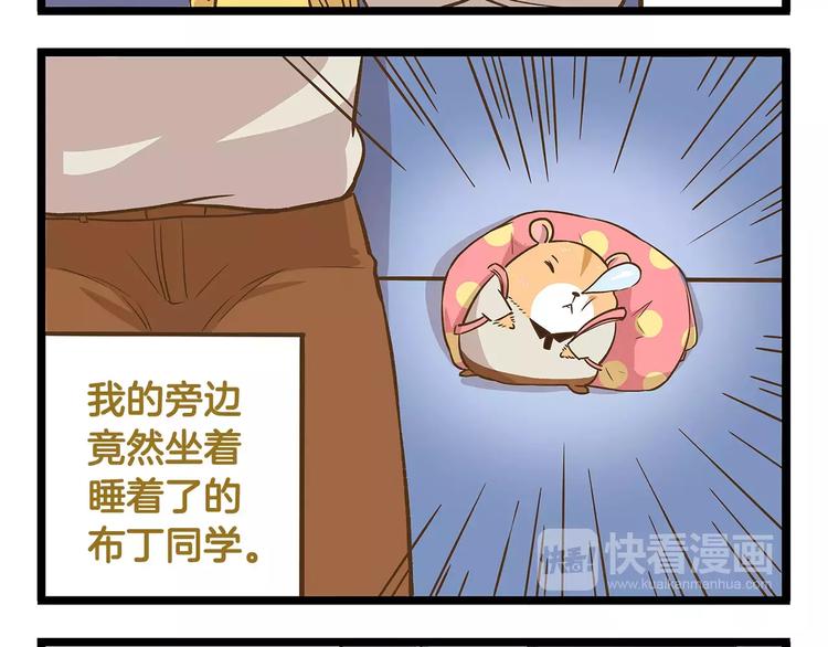 我是学校唯一的人类漫画下拉式漫画,第14话 誓死保卫仓鼠！2图