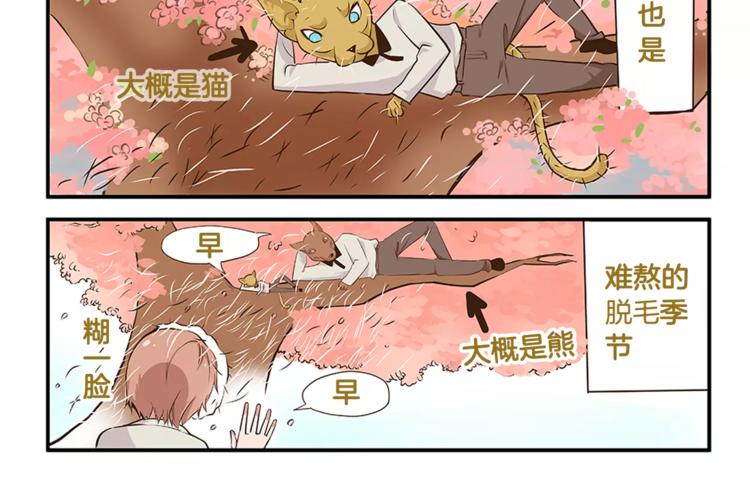 我是学校唯一的人类精彩片段漫画,第2话 毛发管理2图