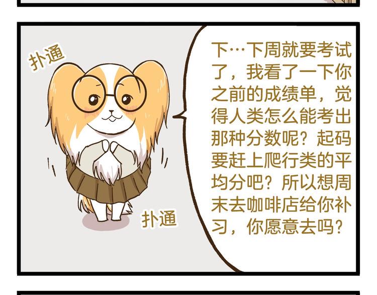 我是学校唯一的人类漫画解说漫画,第76话 桃李满天下2图