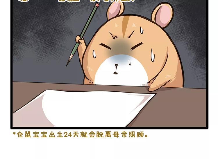 我是学校唯一的人类免费观看漫画,第18话 家庭调查2图