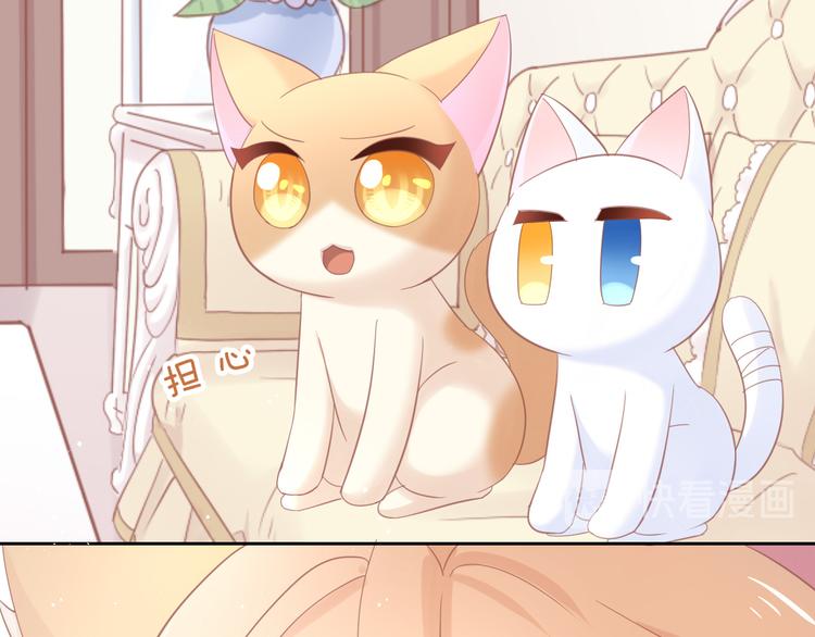 猫爪之下合集漫画,第142话 高仿热干面2图