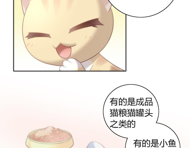 猫爪之下漫画,第62话 颜值至上2图