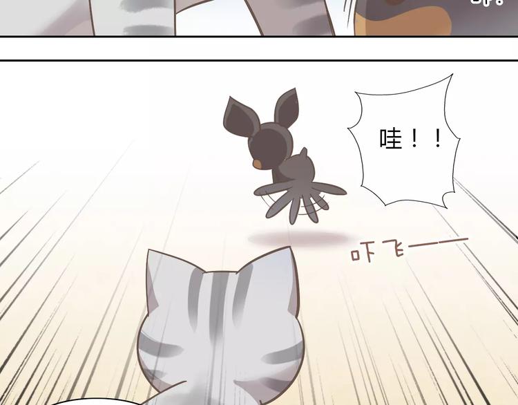 猫爪之下合集漫画,第28话 迷之自信2图