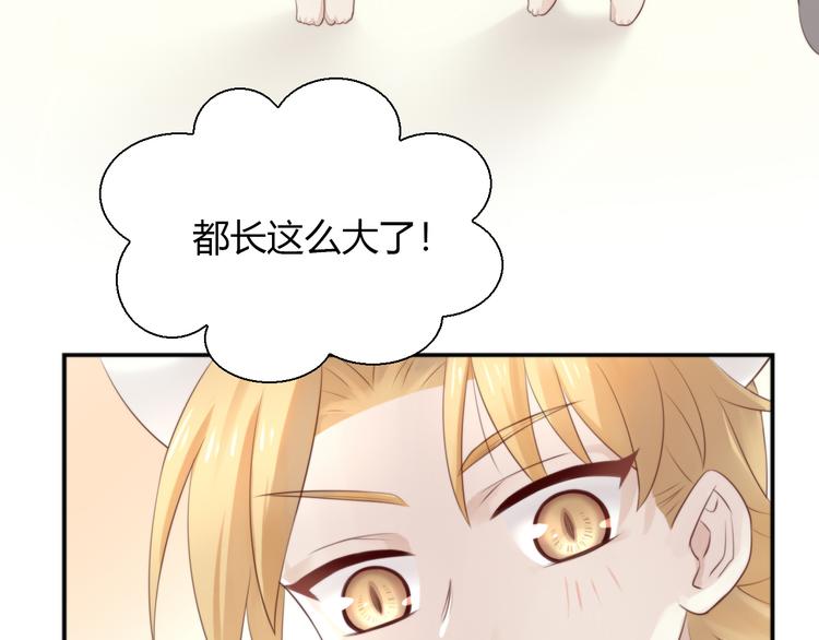 猫爪草最佳散结配方漫画,第66话 破裂1图