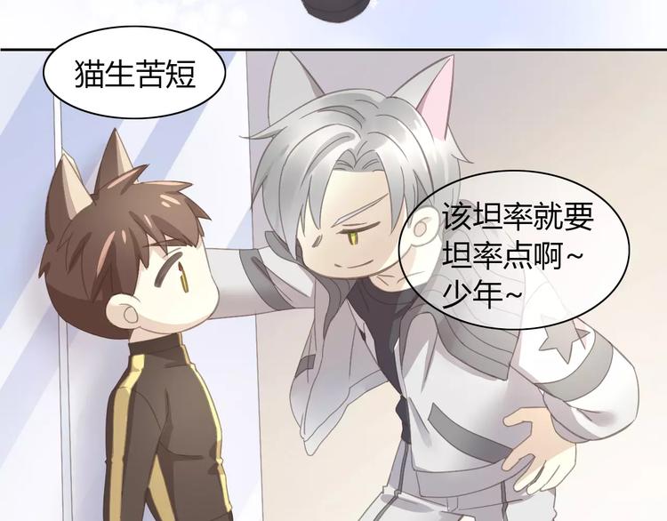 猫爪之下合集漫画,第29话 花花身份被发现1图