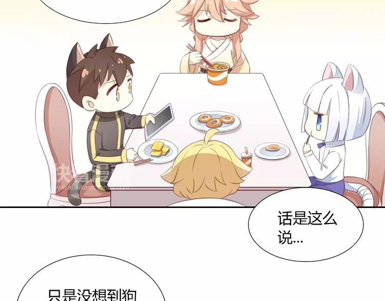 猫爪之下合集漫画,第14话  萌宠失踪1图