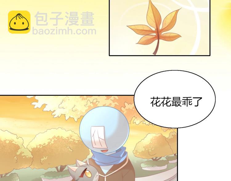 猫爪之下合集漫画,第126话 猫舍C位（二）2图