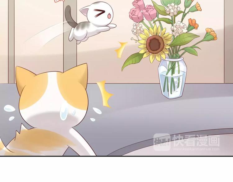 猫爪之下合集漫画,第44话 女王属性？2图