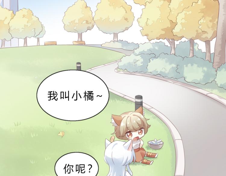 猫爪之下合集漫画,第61话 合作2图