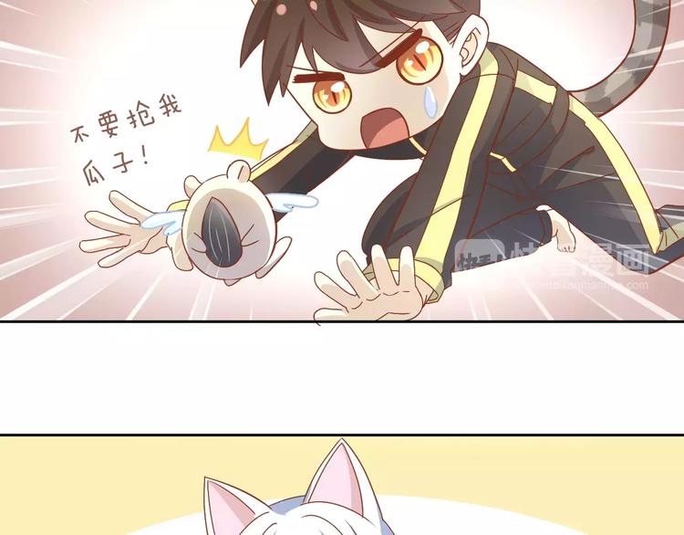 猫爪之下合集漫画,第26话 圣诞快乐1图