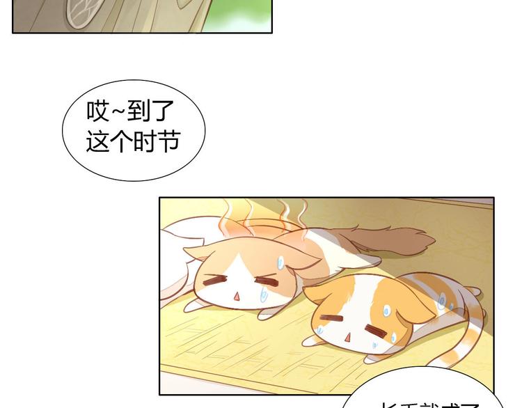 猫爪之下合集漫画,第3话  夏日冰品1图