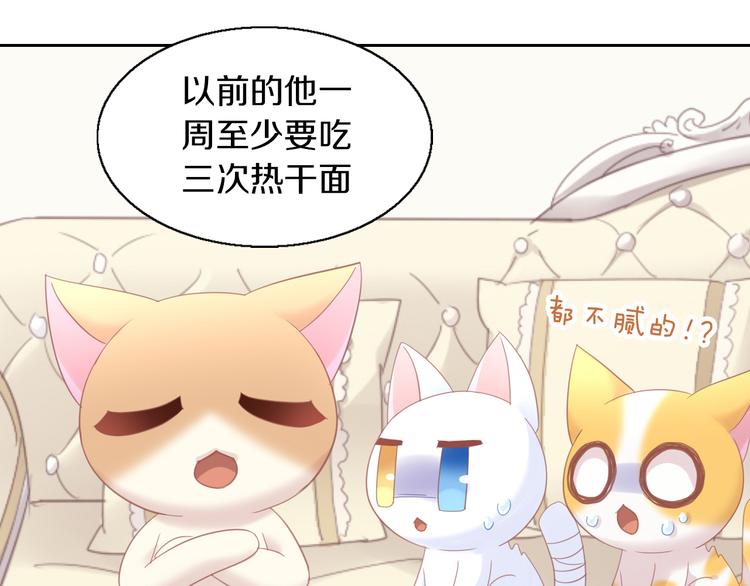 猫爪之下合集漫画,第142话 高仿热干面1图