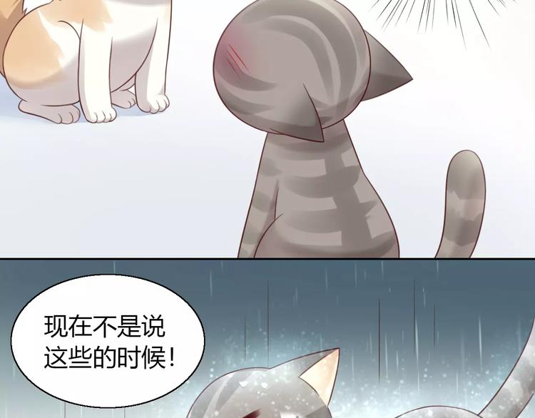 猫爪草最佳散结配方漫画,第49话 我们是一家人啊2图