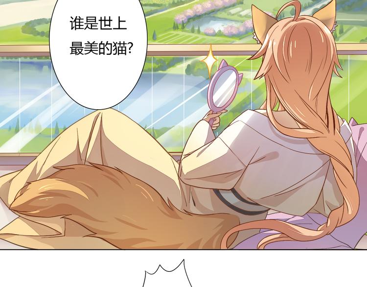 猫爪之下合集漫画,第1话  猫主子驾到！2图