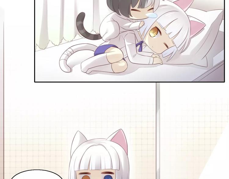 猫爪之下合集漫画,第43话 嫉妒心1图