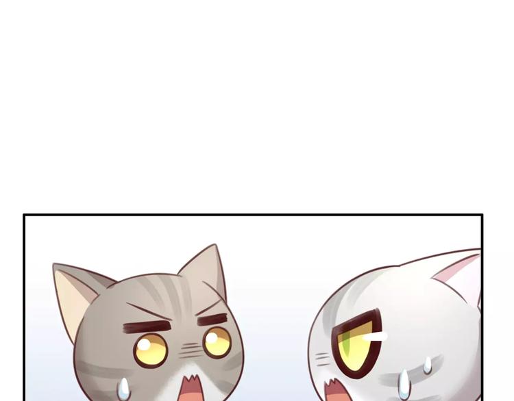 猫爪之下合集漫画,第29话 花花身份被发现1图