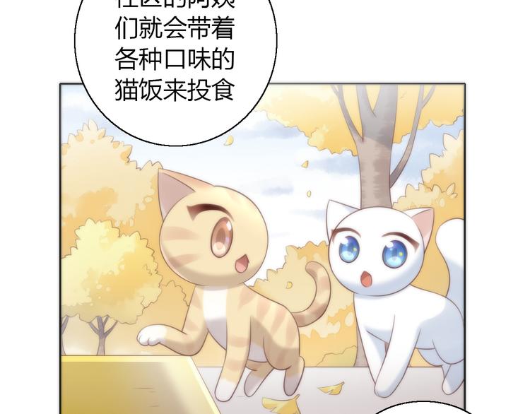 猫爪之下合集漫画,第62话 颜值至上2图