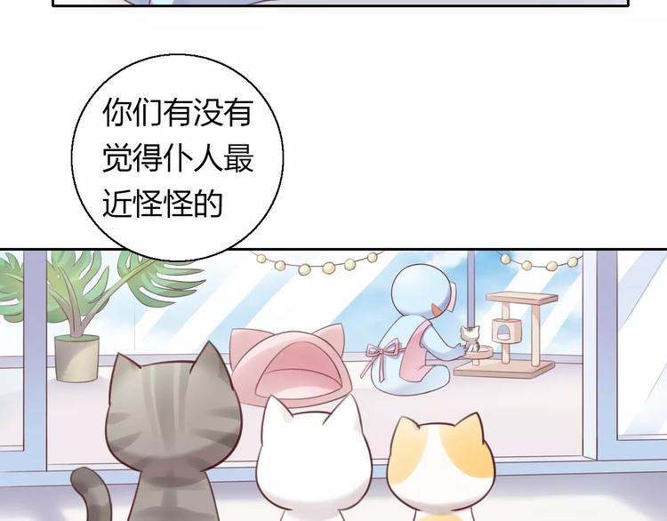 猫爪之下合集漫画,第42话 小可怜的妈妈？1图