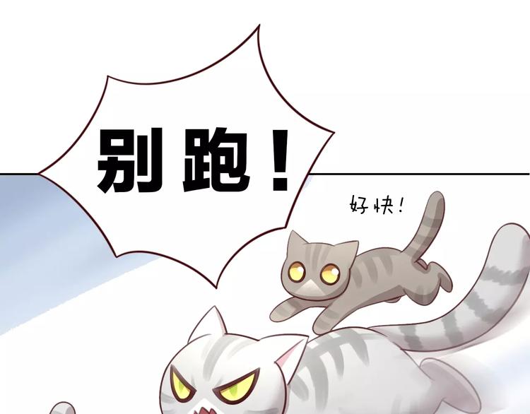 猫爪之下合集漫画,第29话 花花身份被发现2图