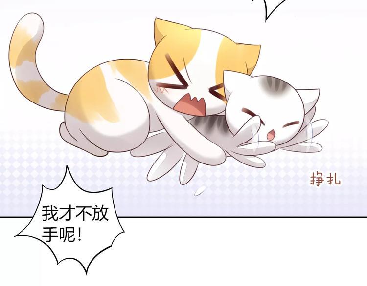 猫爪之下合集漫画,第44话 女王属性？2图