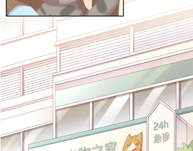 猫爪之下合集漫画,第126话 猫舍C位（二）1图