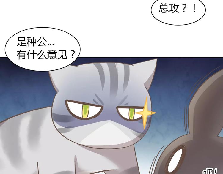 猫爪之下合集漫画,第28话 迷之自信1图