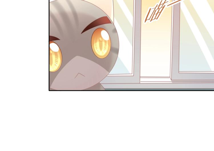 猫爪之下合集漫画,第126话 猫舍C位（二）1图