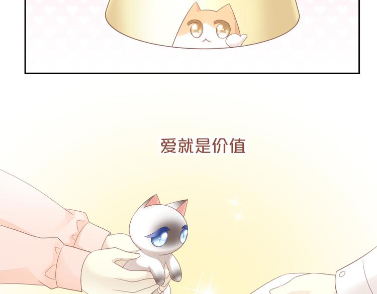 猫爪之下免费阅读漫画,第82话 我想被爱着2图