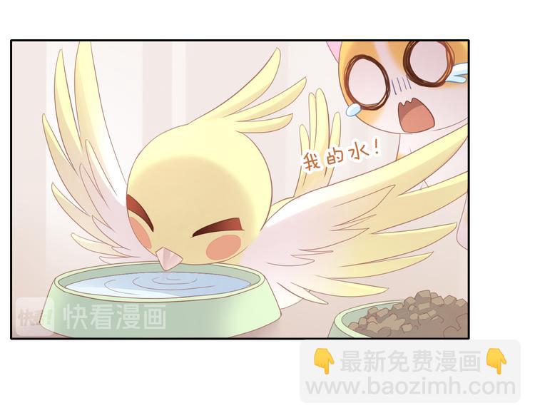 猫爪之下合集漫画,第145话 洗香香2图
