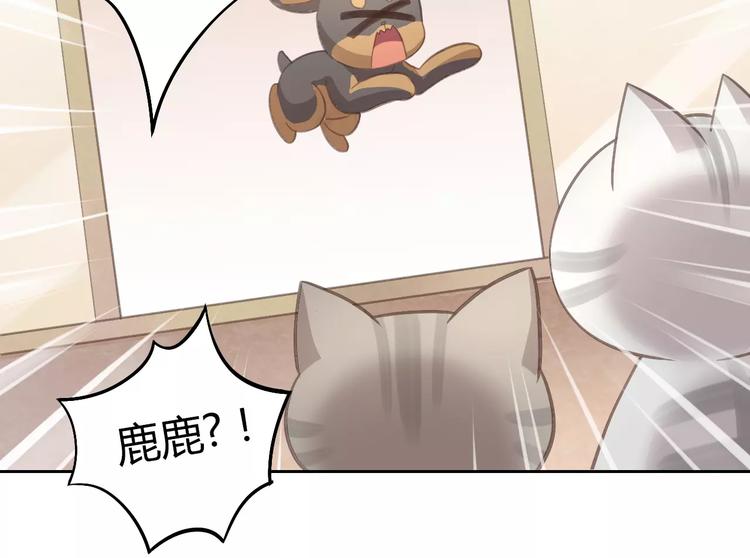 猫爪之下合集漫画,第29话 花花身份被发现2图