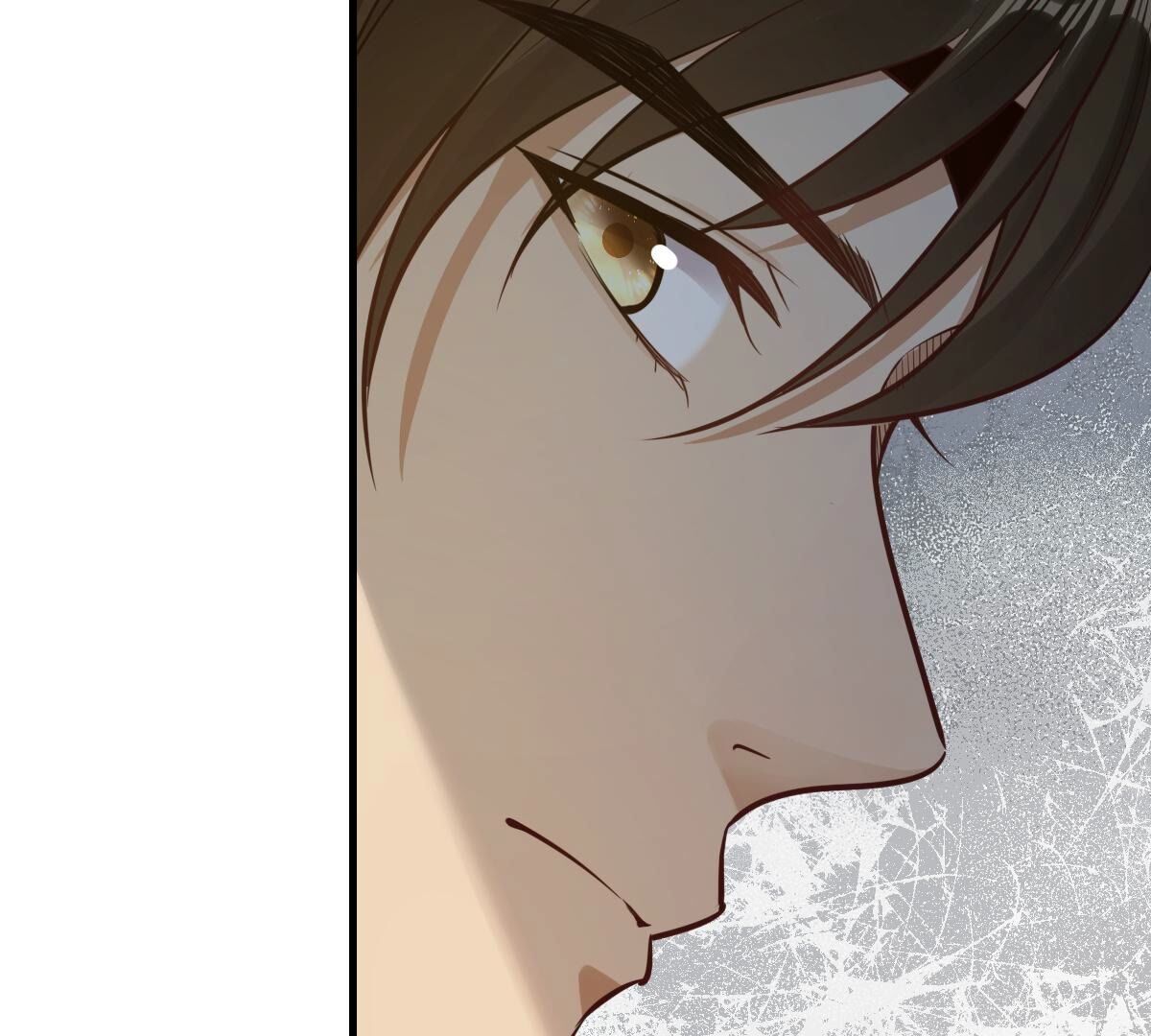 战神狂妃:凤倾天下小说免费阅读漫画,259 第257话 皇上的谋划2图