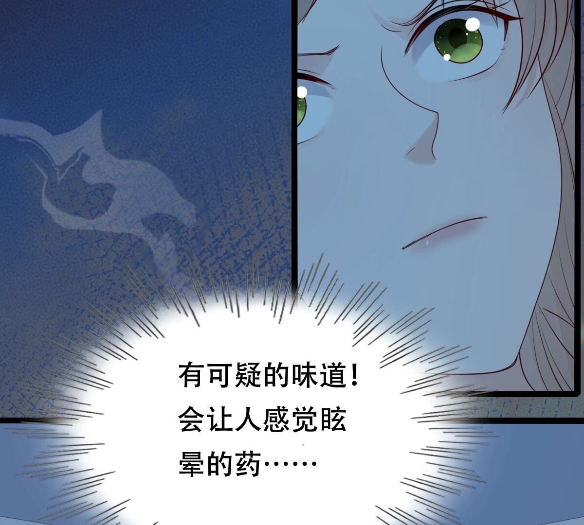 战神狂妃:凤倾天下小说免费阅读漫画,248 第246话  深夜刺杀2图