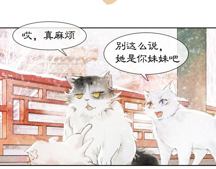 紫禁御喵房漫画免费观看漫画,番外 下雪啦~1图