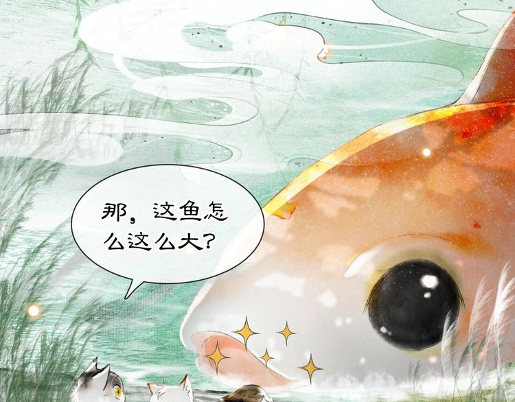 紫禁·御喵房漫画,第16话 鱼也吸猫？2图