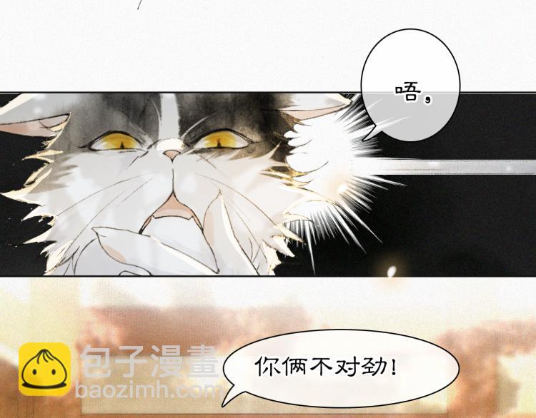 紫禁御喵房漫画,第7话 迷糊小仔的告白2图