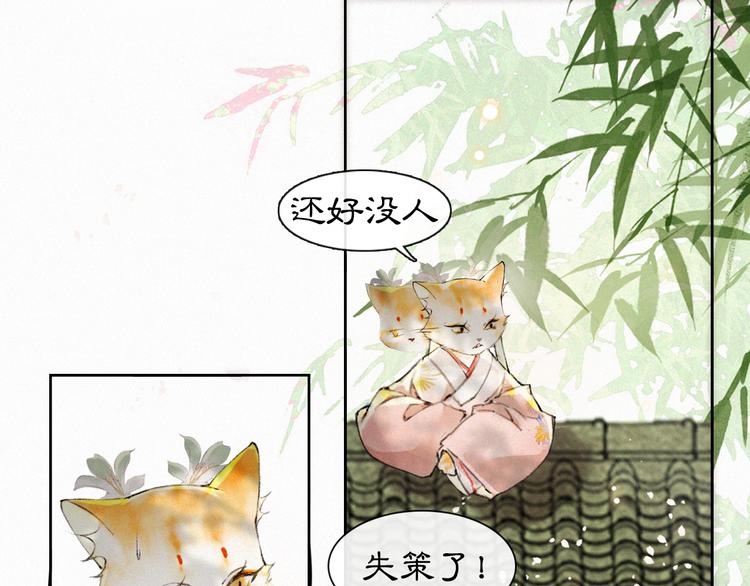 紫荆御喵坊壁纸漫画,第5话 护驾吧平安2图