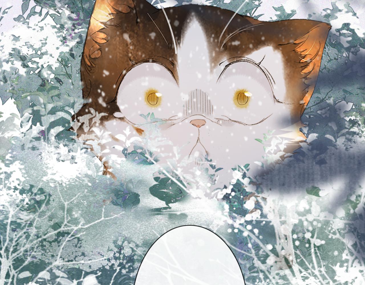 紫禁·御喵房漫画,番外 小仔的冬天1图