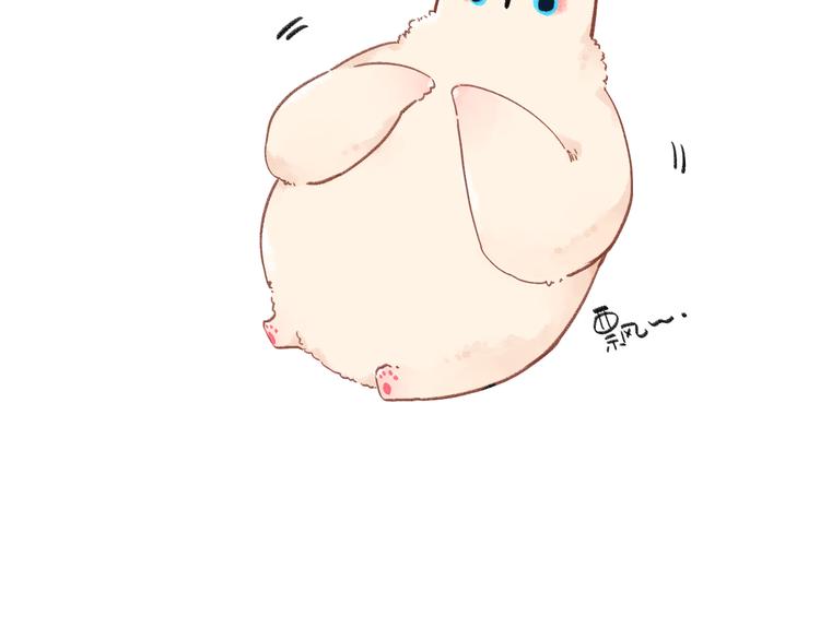 DOLO命运胶囊漫画,番外 关于考试的种种1图