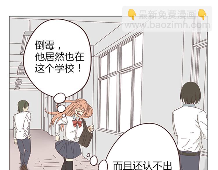 你好！筋肉女漫画,第6话 我不会原谅你2图