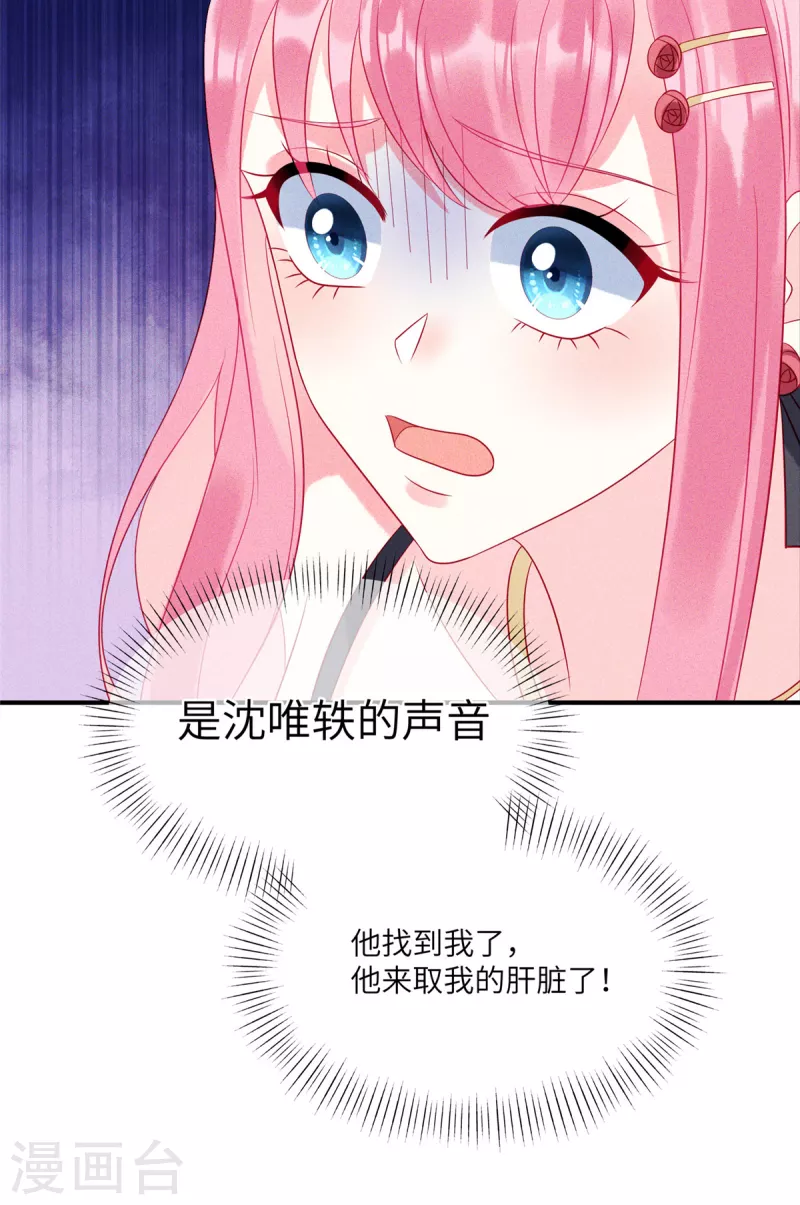 狼总裁的兔小姐漫画,第81话 回到初次相遇的地方1图