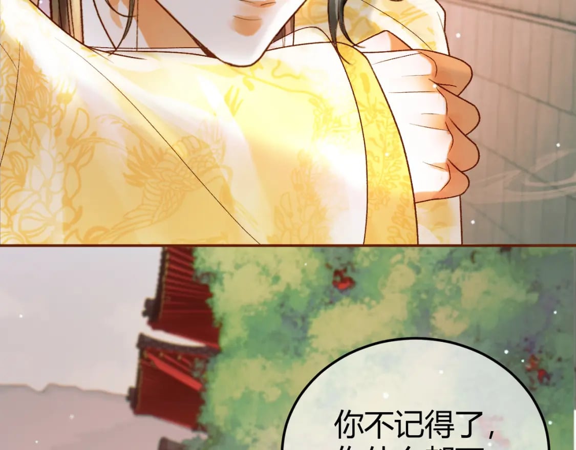 影卫替身为后全文免费阅读漫画,第46话 你什么都不记得了2图