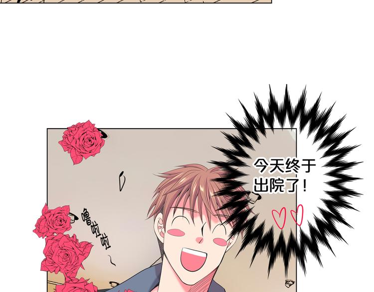 名花无草——《名花有草》续篇漫画,番外 幸福的延续1图